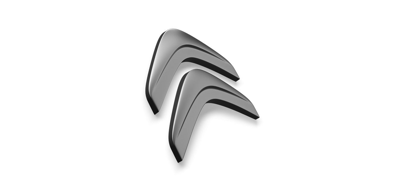 Citroën Hondenrekken