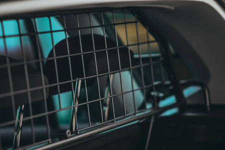 5 mitos sobre los reja para perros desmentidos
