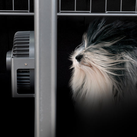¡Mantén fresco a tu perro con nuestro nuevo ventilador para perros!