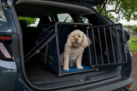 Presentamos la Jaula para Perros Travall: protección en caso de accidente para tu mejor amigo