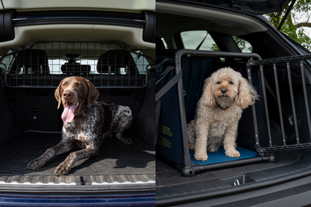 Rejilla separadora o transportín para perros en el coche: ¿cuál es la mejor opción para ti y tu perro?