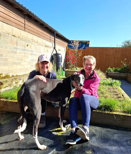 Estamos recaudando fondos para Makants Greyhound Rescue N.W.