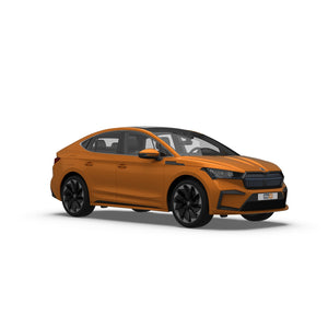 Skoda Enyaq IV Hatchback (2022-) Dog Guards