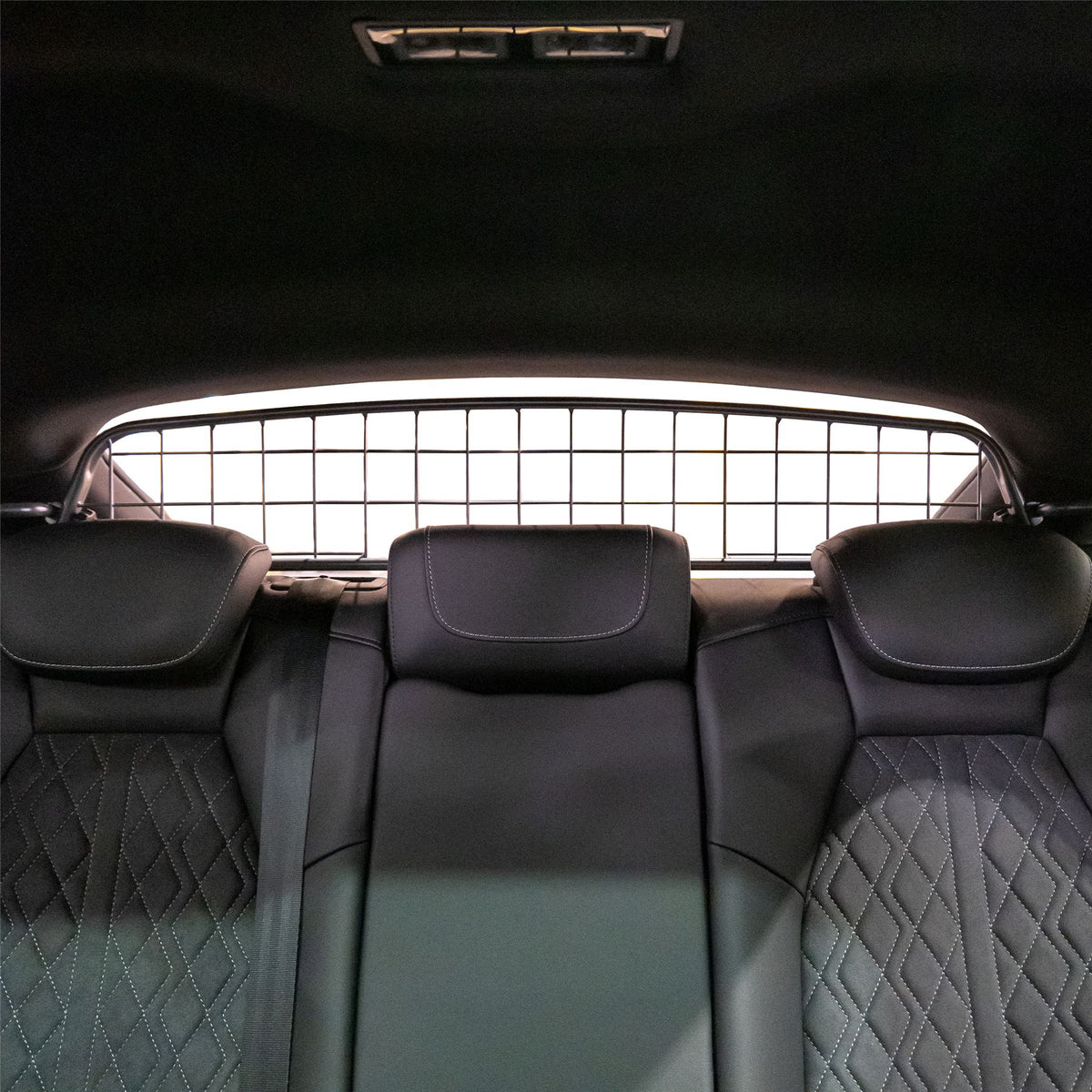 Audi Q4 Sportback E-Tron Reja para perros (2021-on)