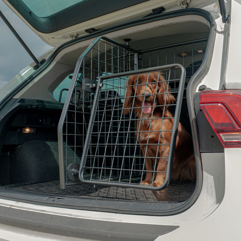 Tailgate de la Serie 3 BMW (2019-2023)