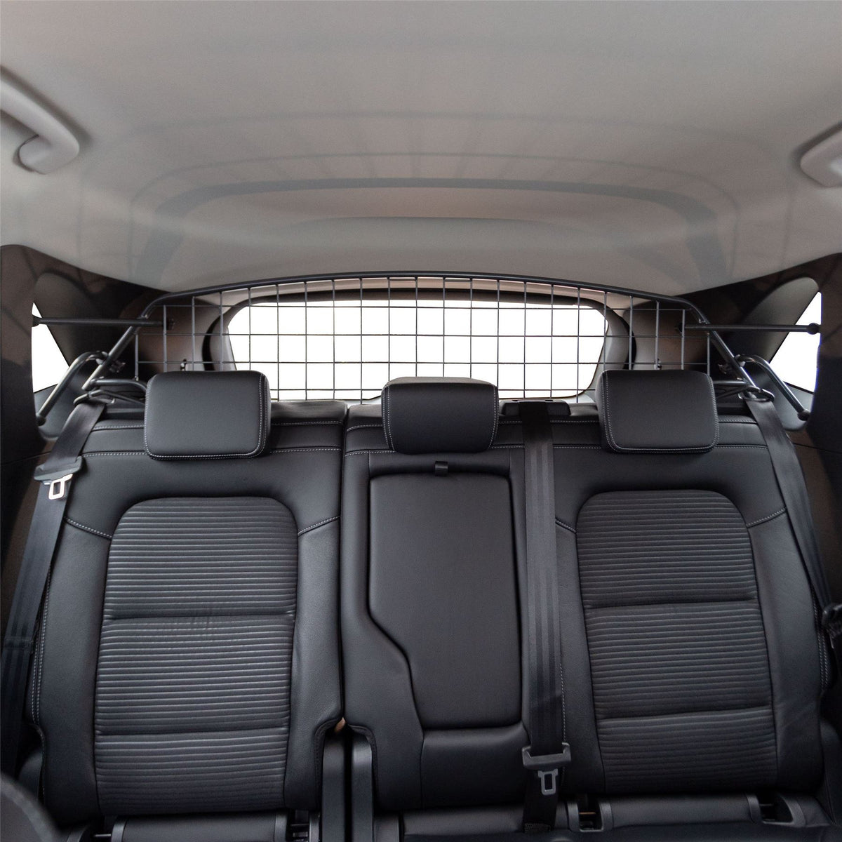 Reja para perros para perros de Ford Kuga (2019-2023)