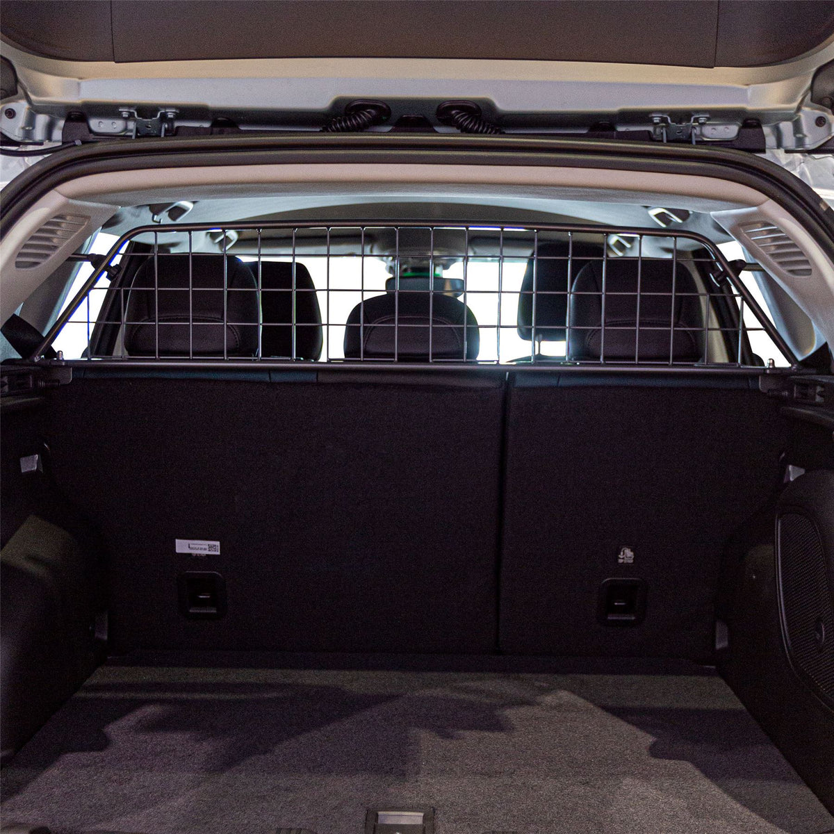 Reja para perros de perro Jeep Compass (2020-On)
